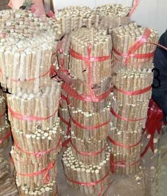 農(nóng)戶直供 全紅楊扦插段、楊樹扦插段【圖】