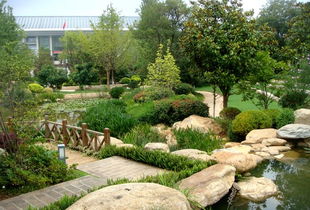 園林綠化工程承建 物超所值的花卉種植之道